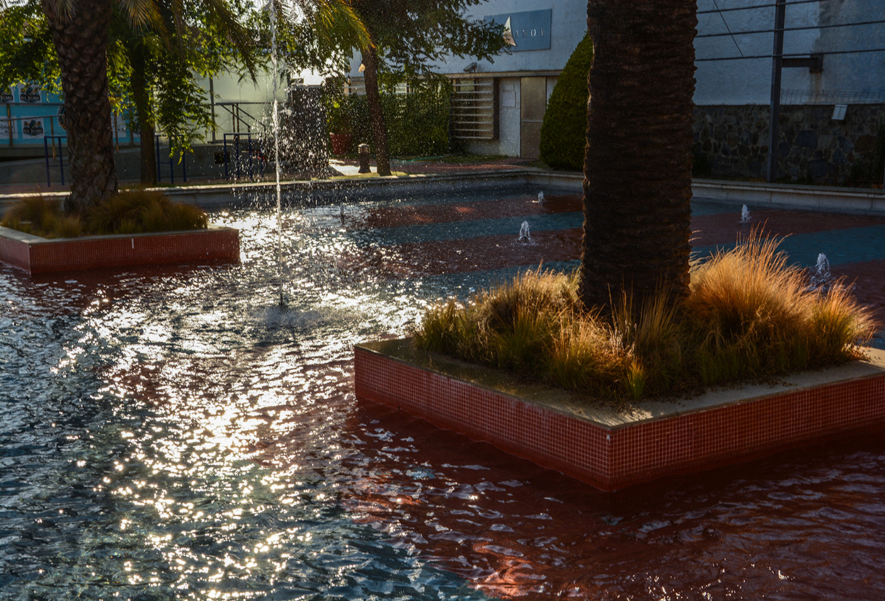 DSC_7447.JPG