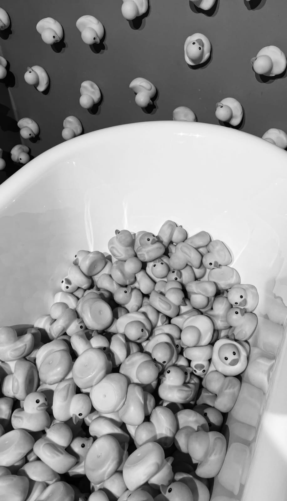 WhatsApp Image 2024-02-12 at 19.18.12 (1).jpeg