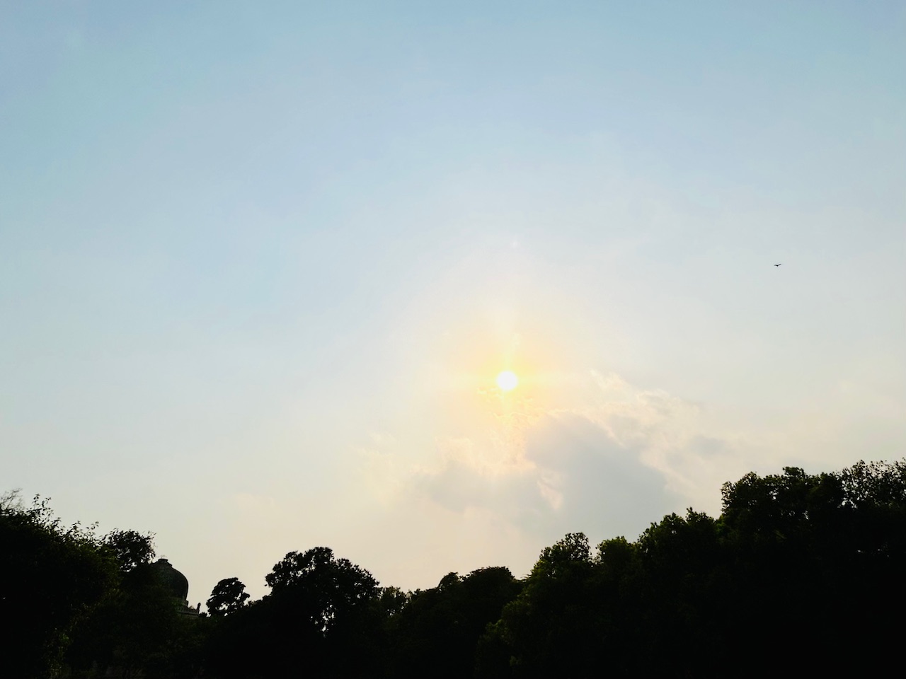 IMG_8668.jpeg