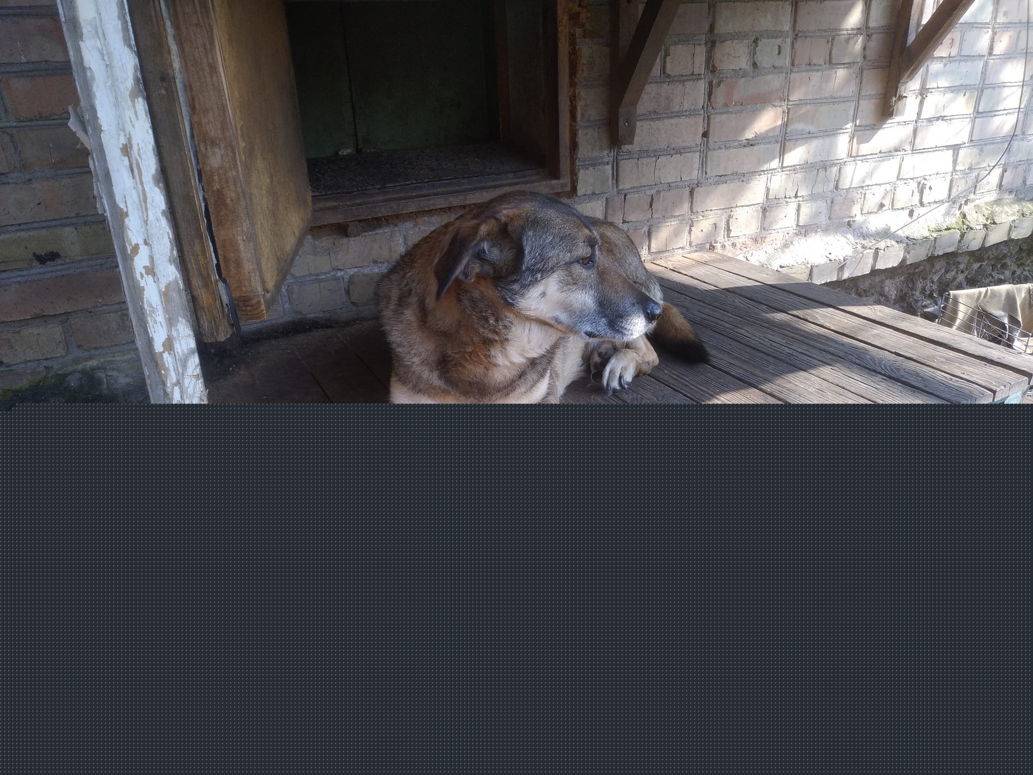 FEF325C5-55DB-456F-93EF-C6C8A9B5DA04.jpeg