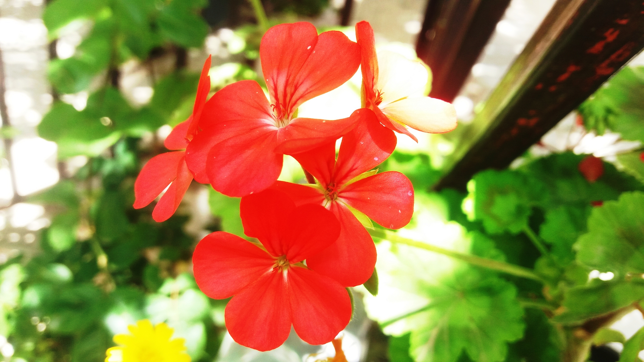 CYMERA_20200518_121839.jpg