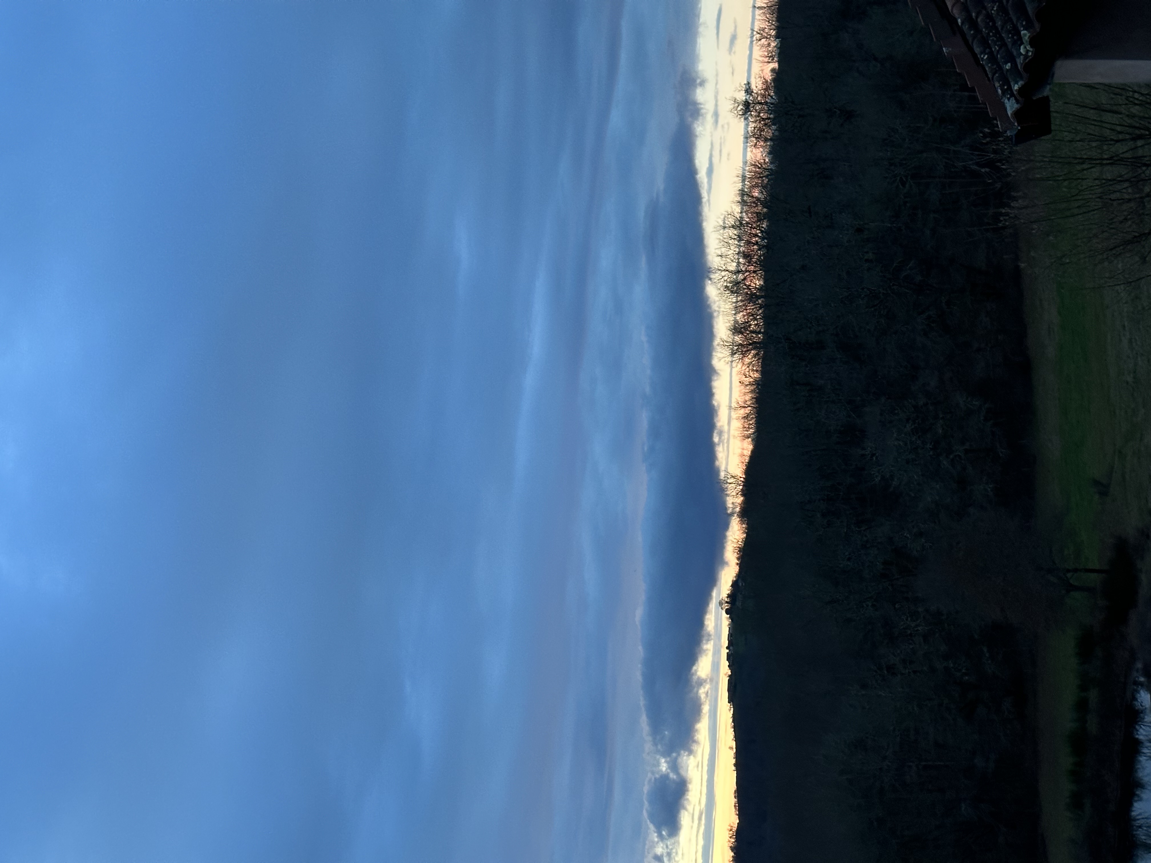 IMG_9080.jpeg