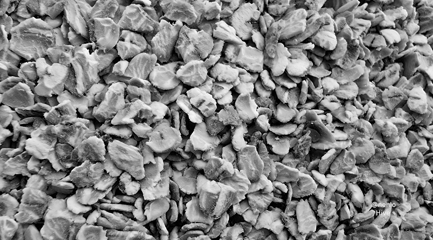 oat-001-bw.jpg