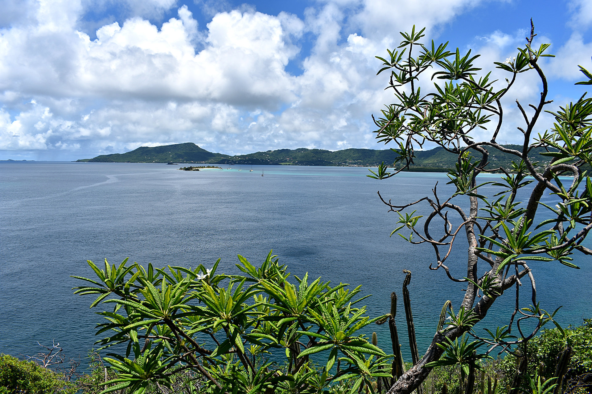 Carriacou-27.jpg