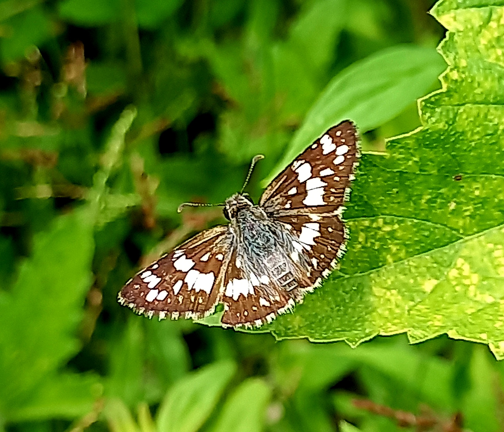 20220906_112010.jpg