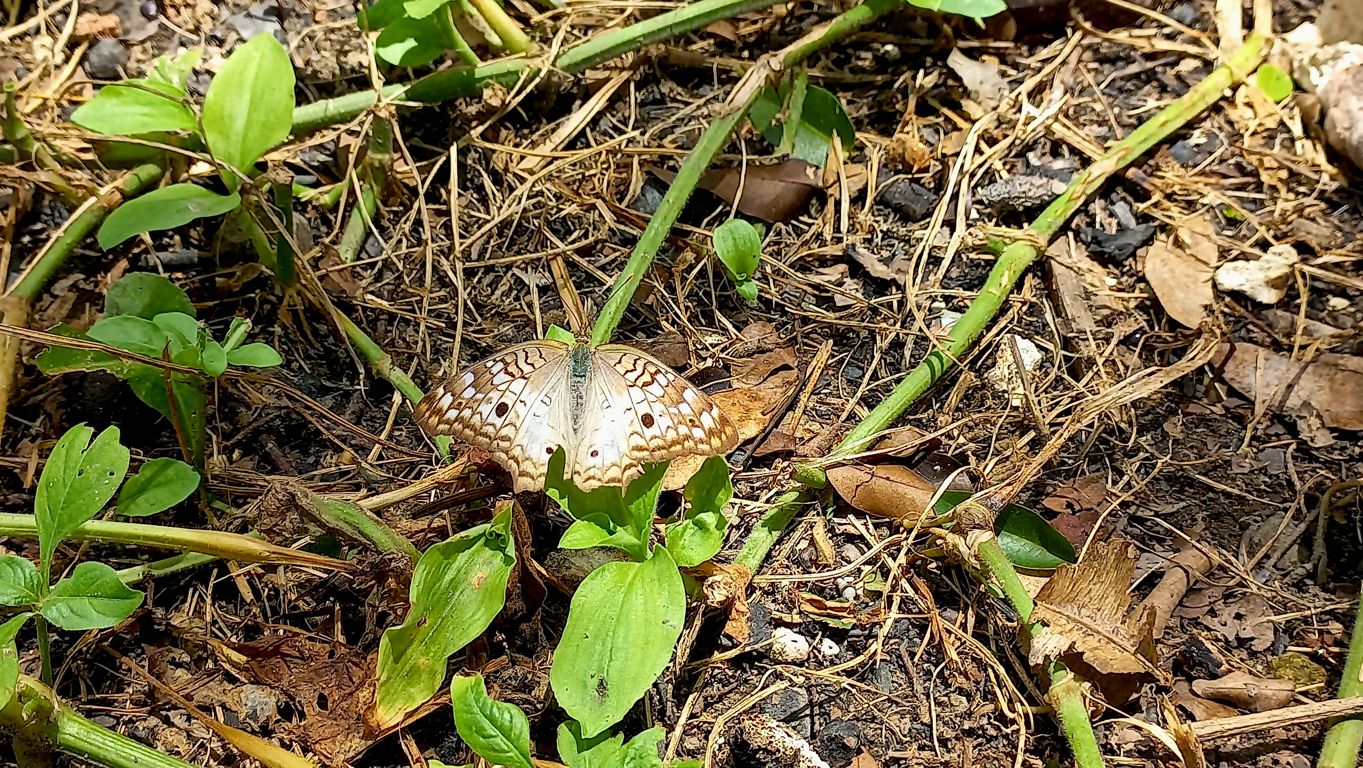 20250805_124417.jpg