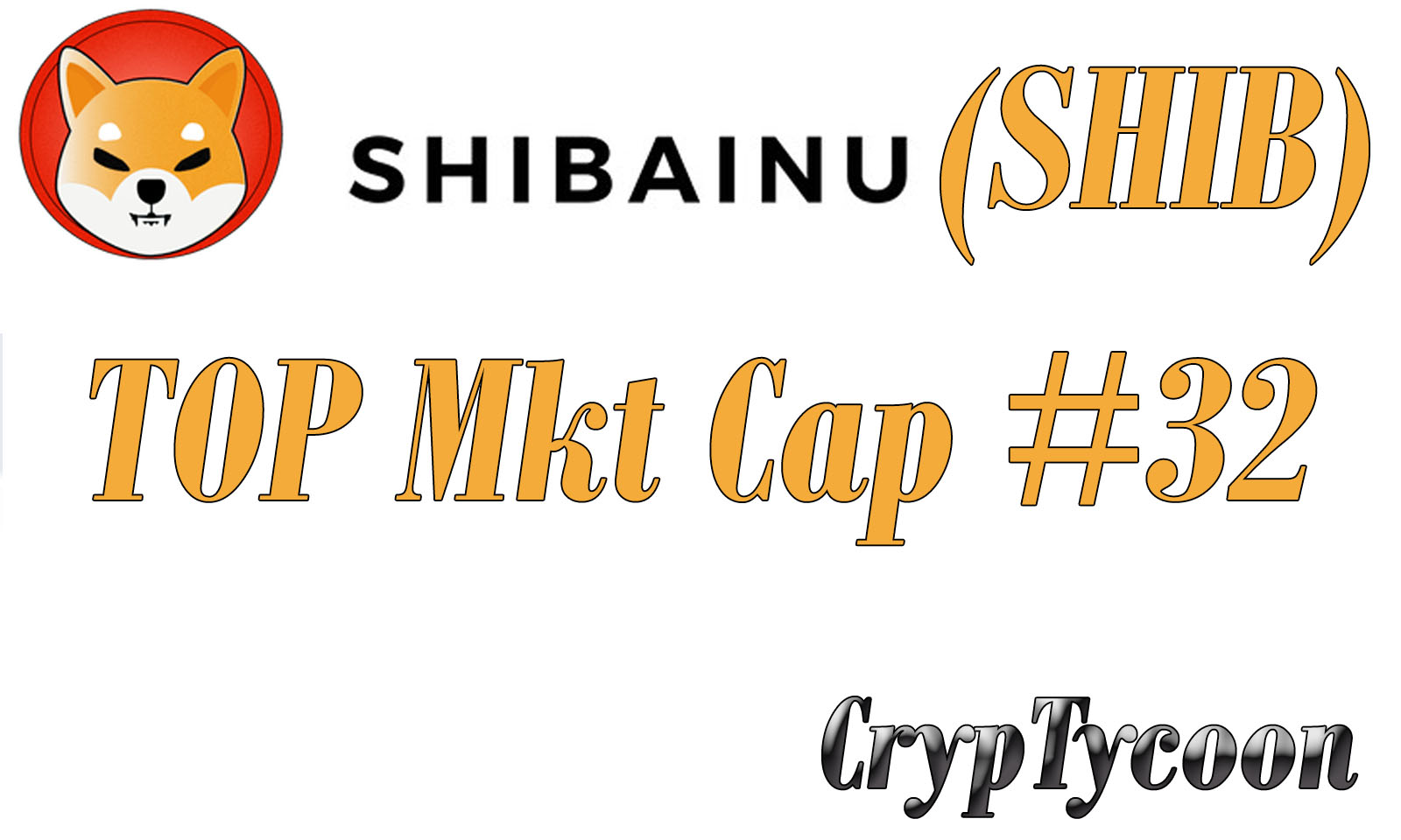 CT_SHIB_MKT_CAP_2021.jpg