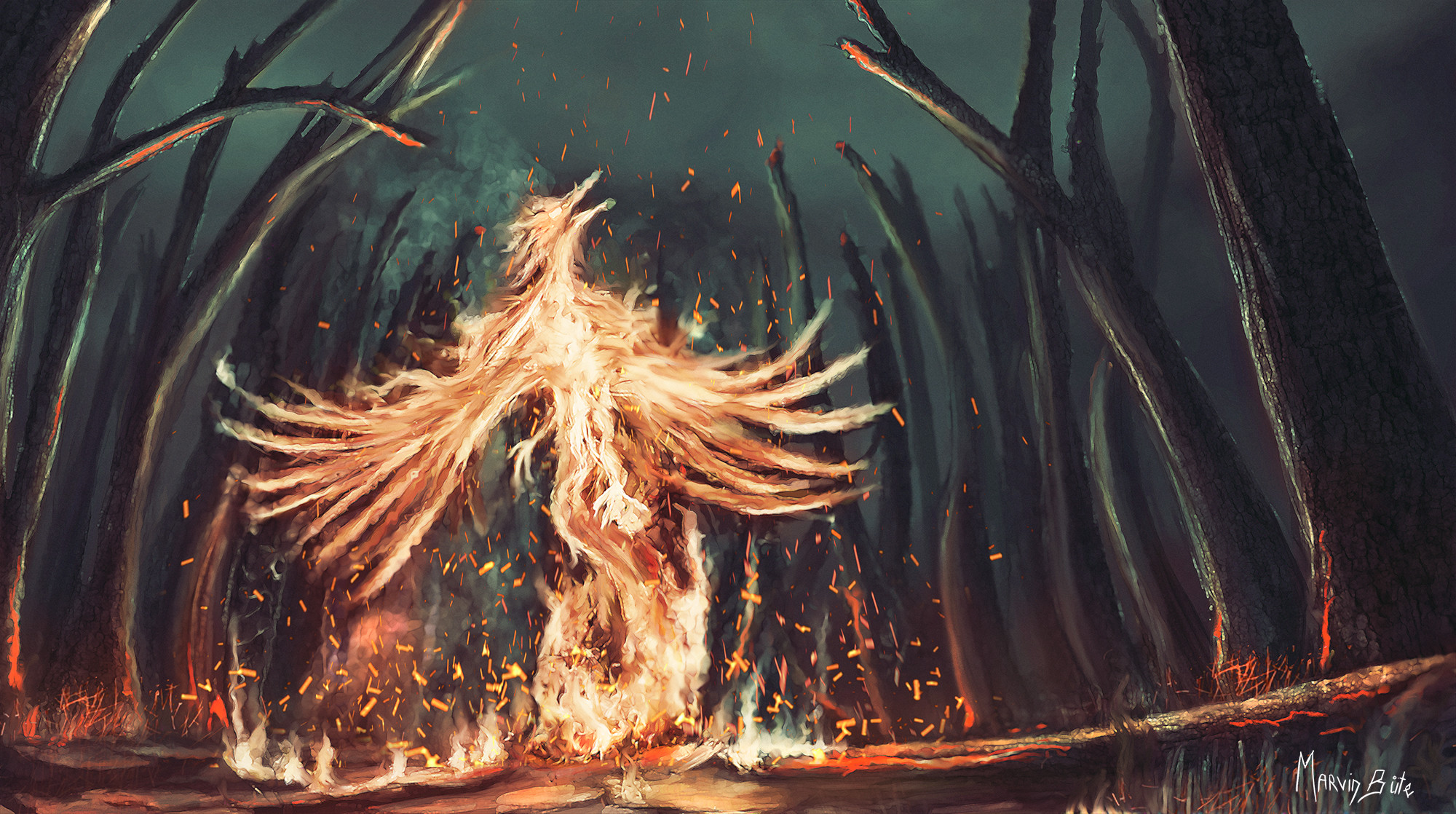 marvin-buete-phoenix-bild.jpg