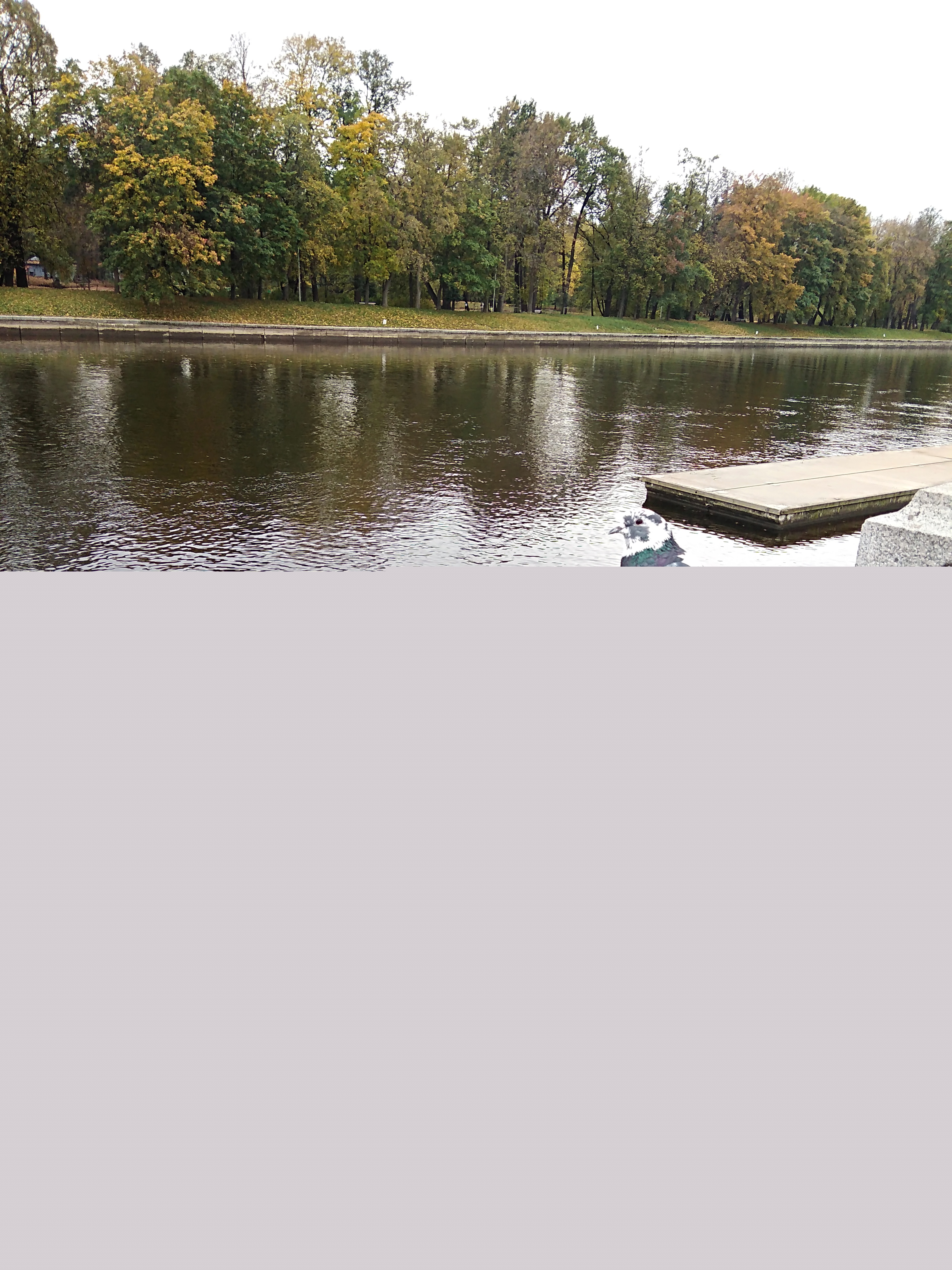 IMG_20201006_121042.jpg