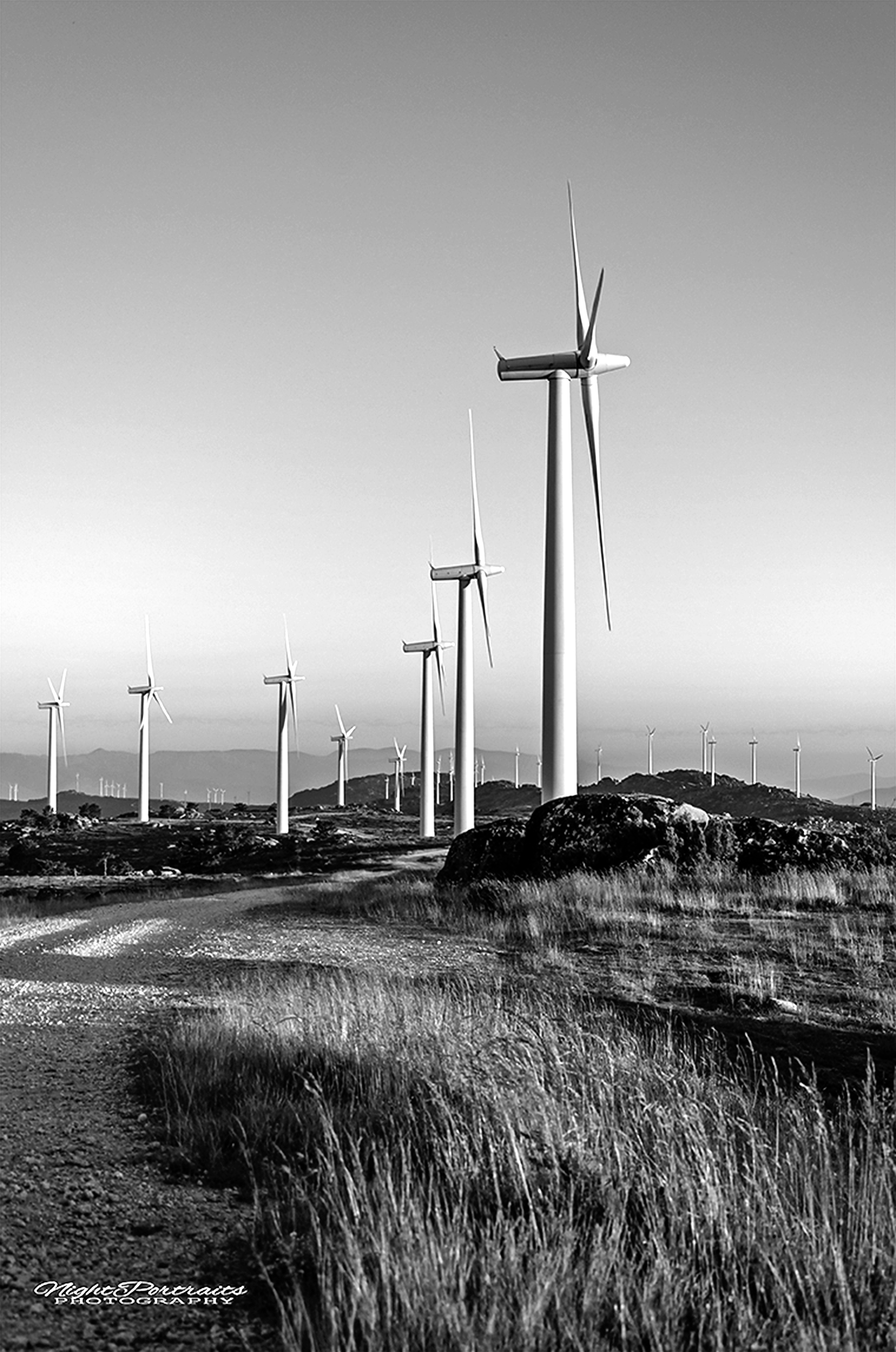 _NPP2690.jpg