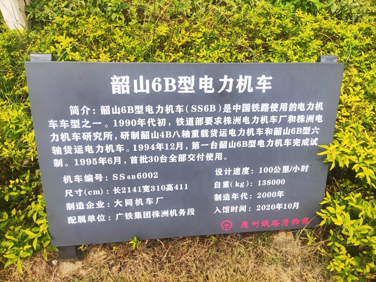 IMG_20221005_111526.jpg