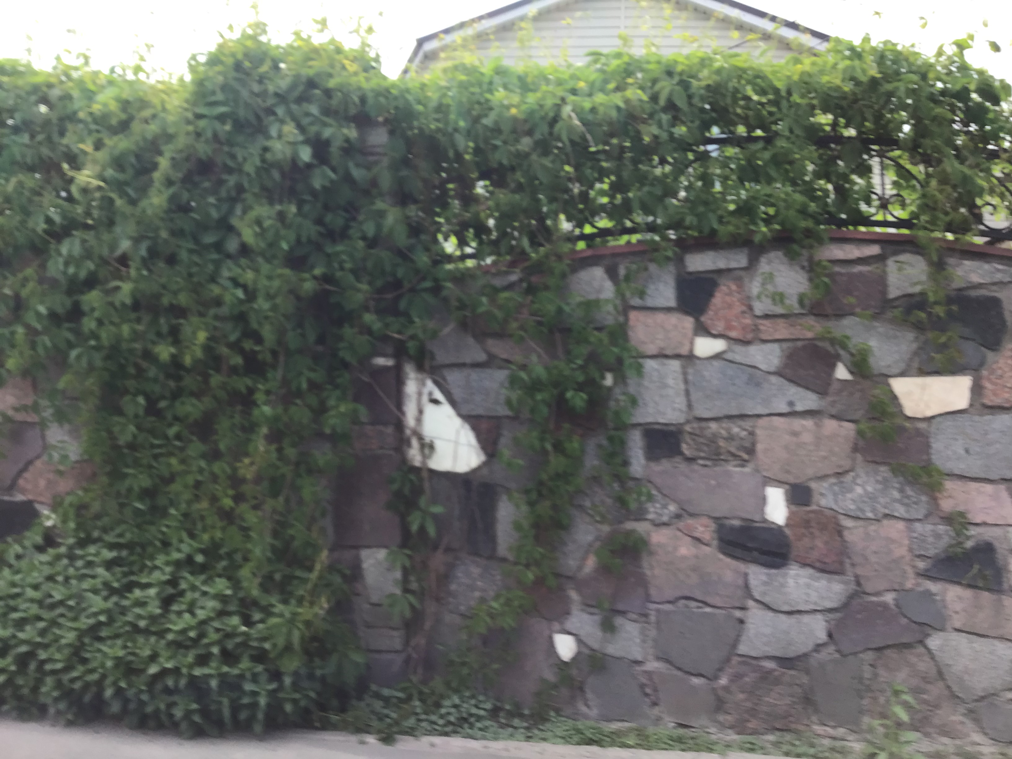 IMG_6900.jpeg