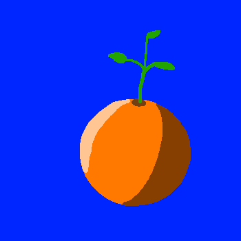 fruit1 .png