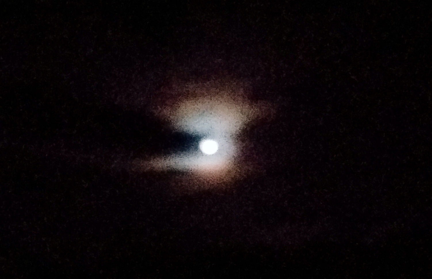 20200908_122549.jpg