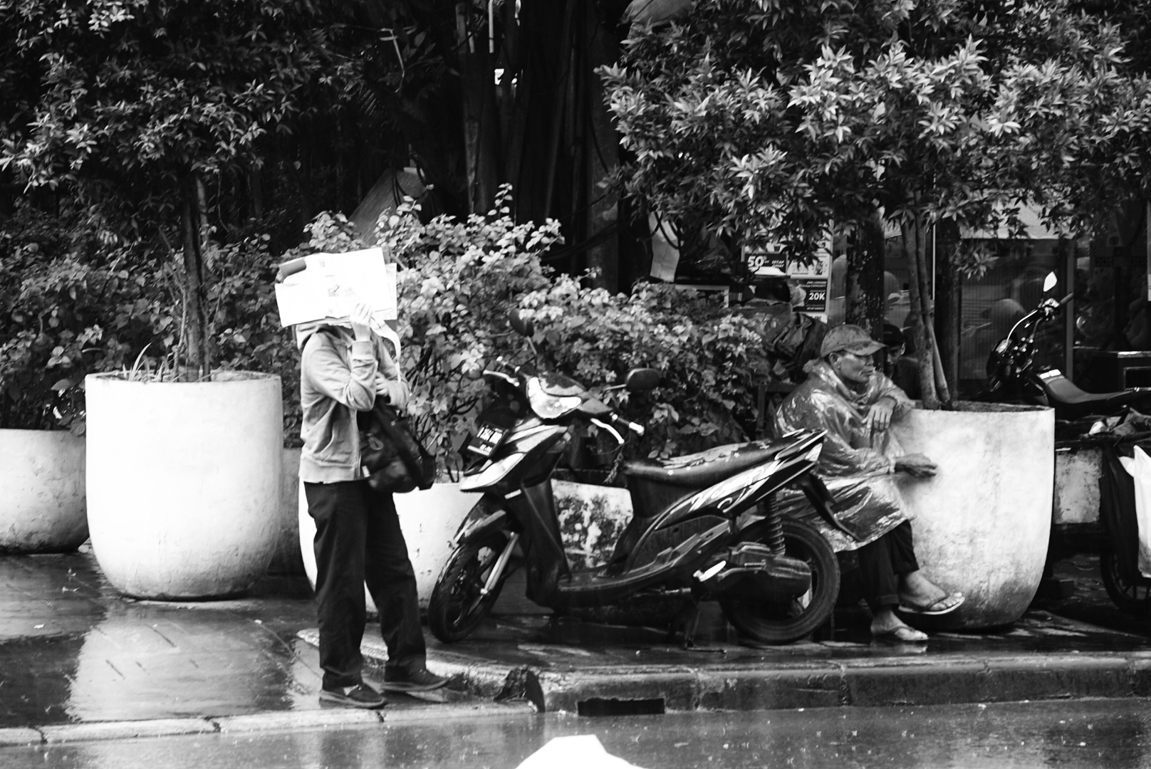 DSC04368-01.jpeg