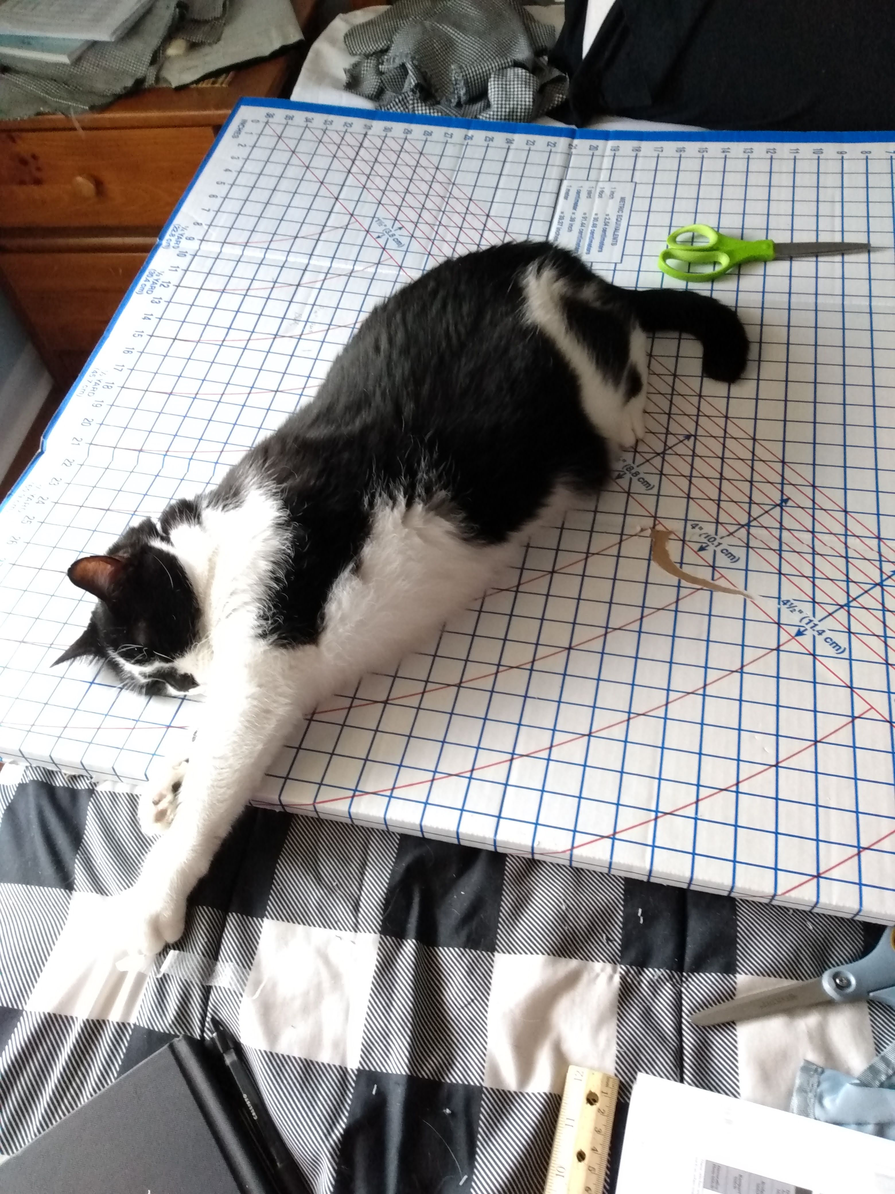 Feenycuttingboard.jpg