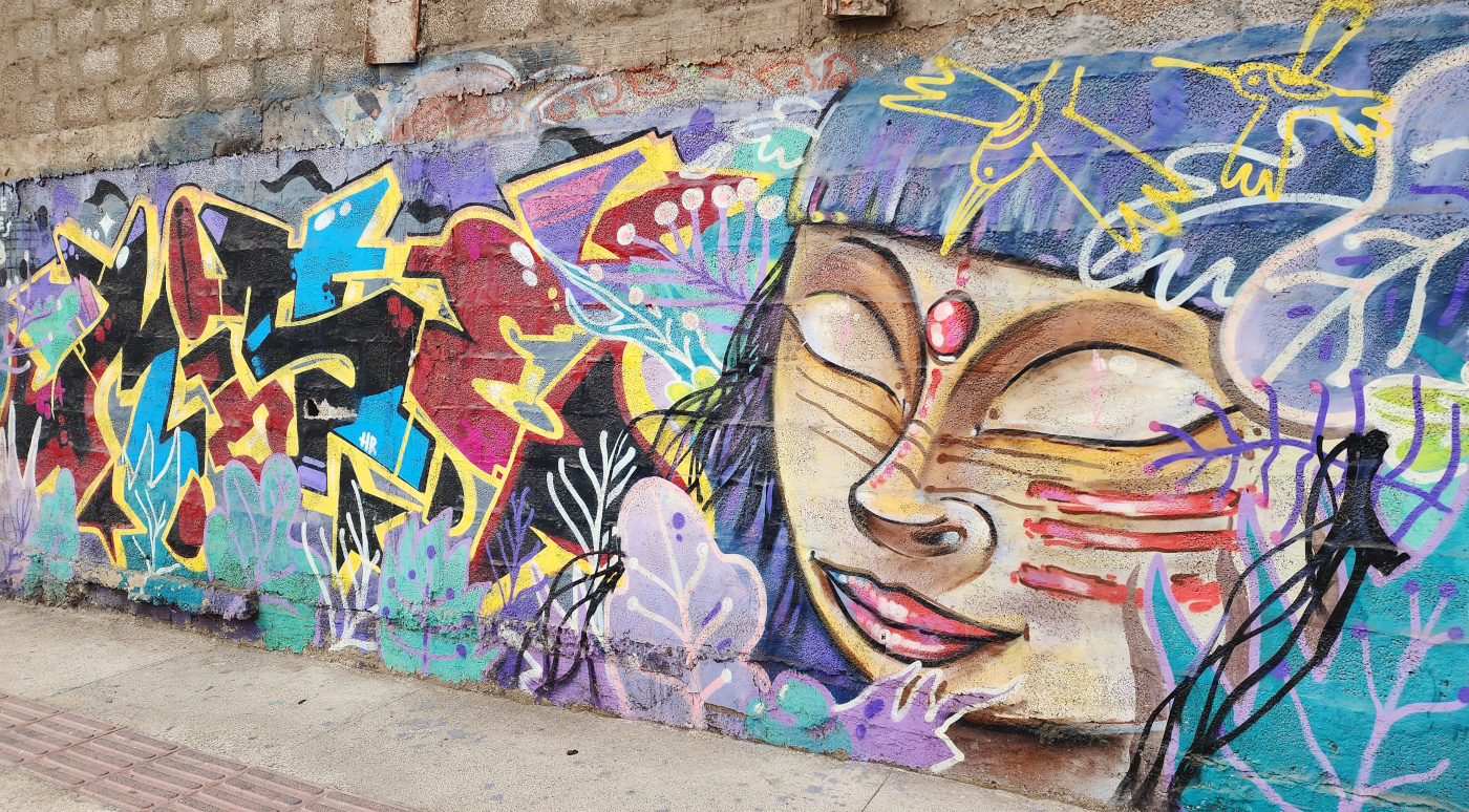 antofagasta-streetart-266.jpg