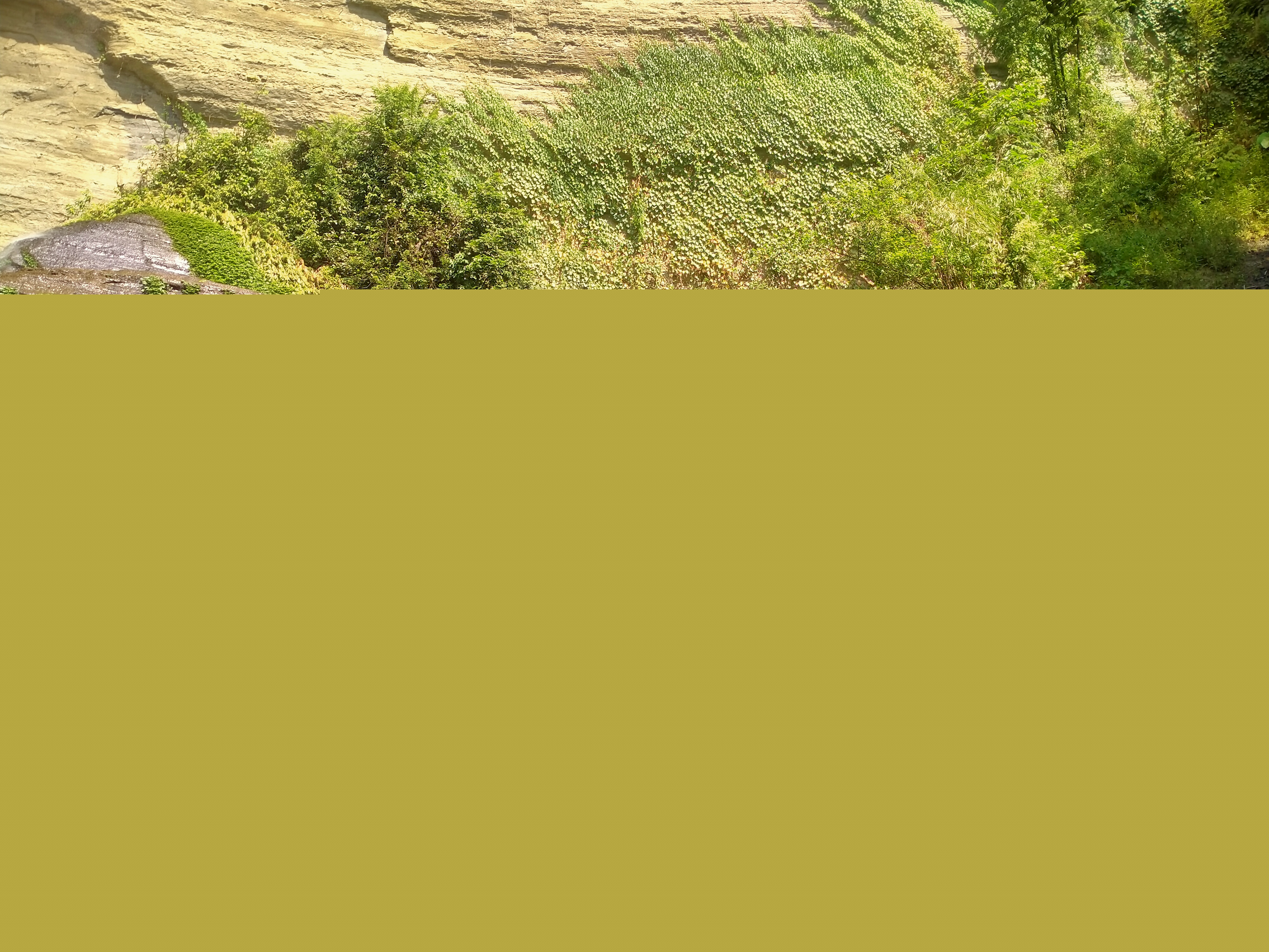 IMG20241122114247.jpg