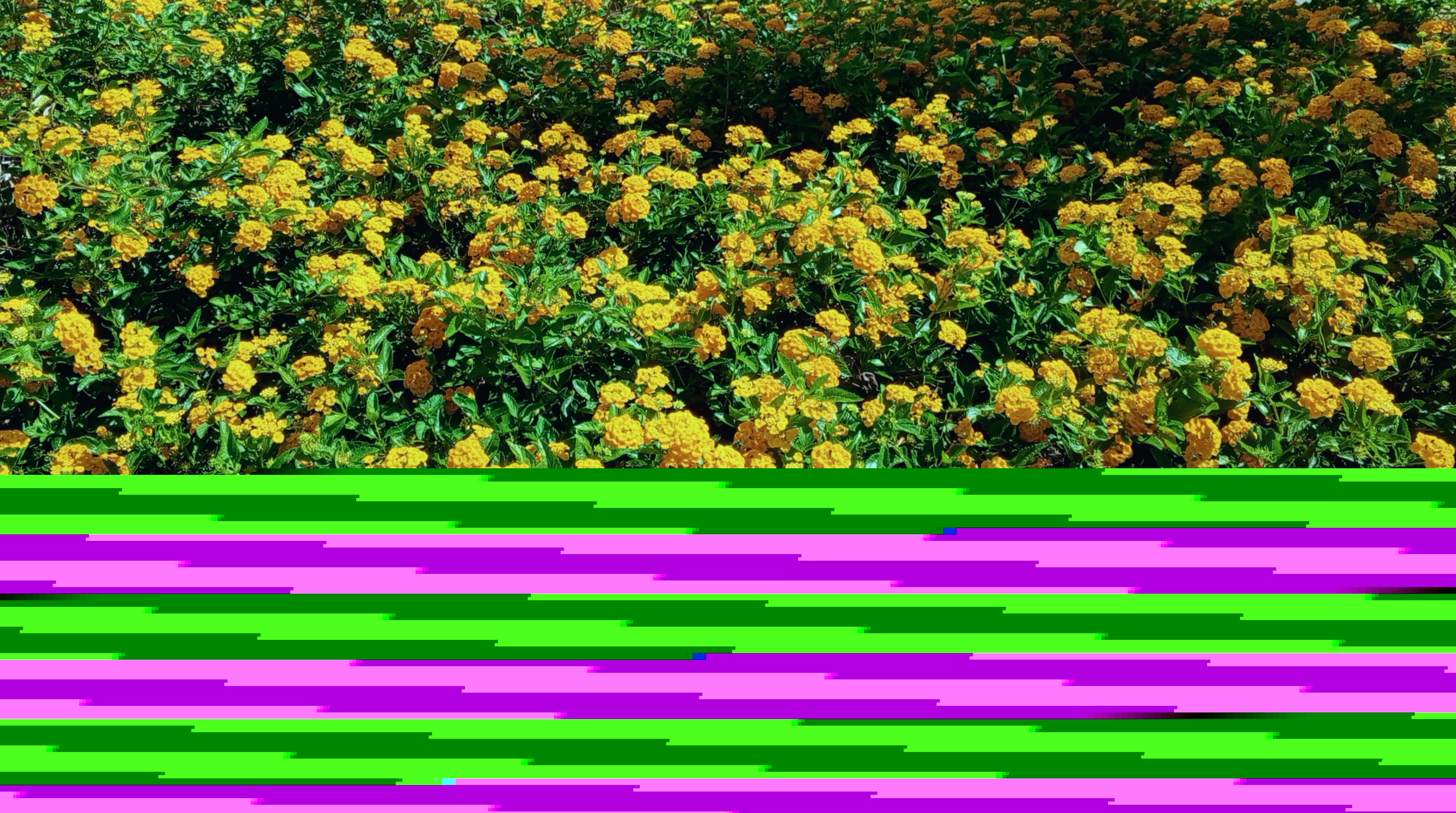 1747059194597.jpg