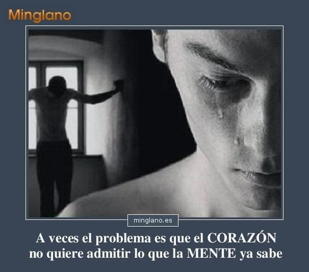 80bdb77f552e445e3bbe46b5b1353c0a.jpg