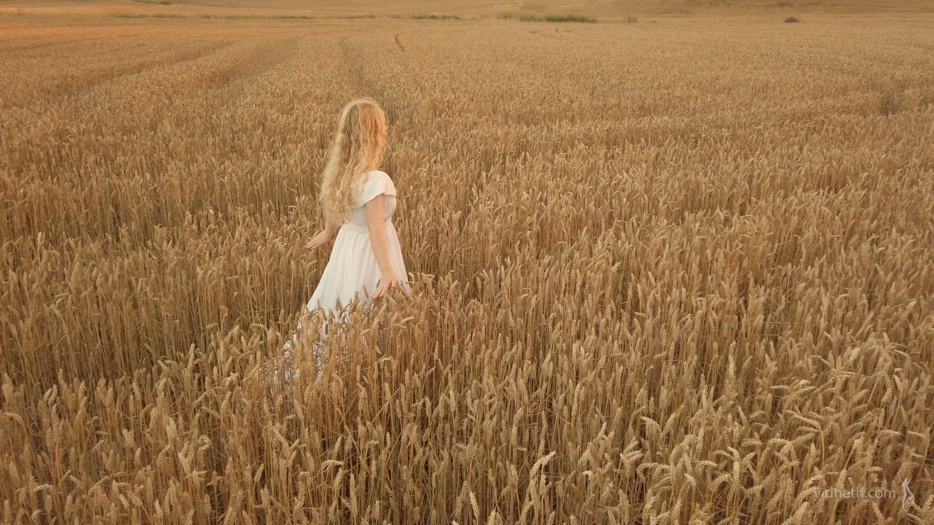 Priscilla Hernandez_fields of gold (1).jpg