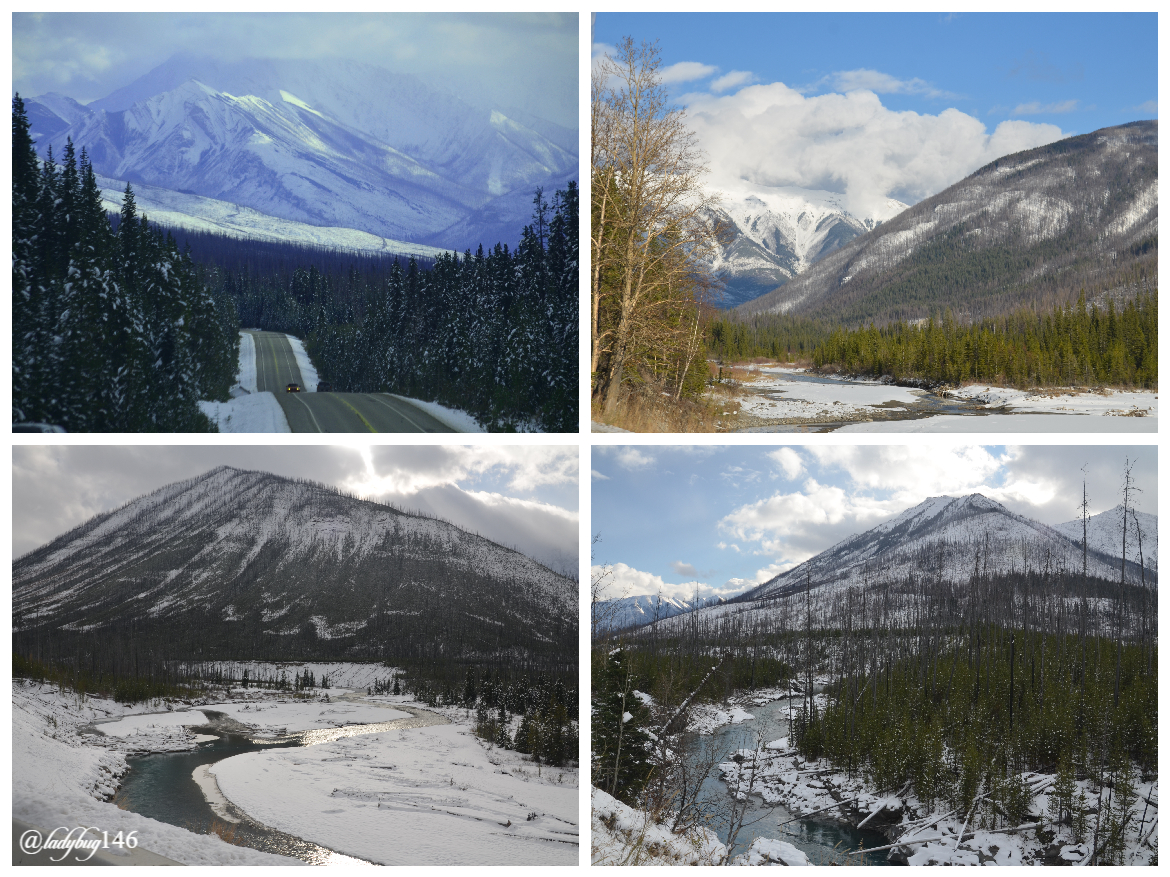 banff windermere highway kootenay national park.jpg