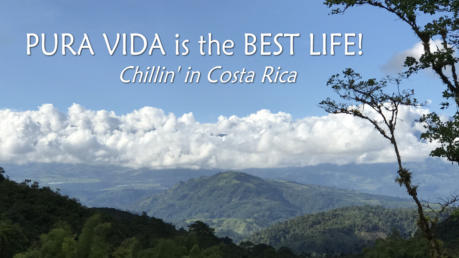 Pura Vida thumbnail image.jpg