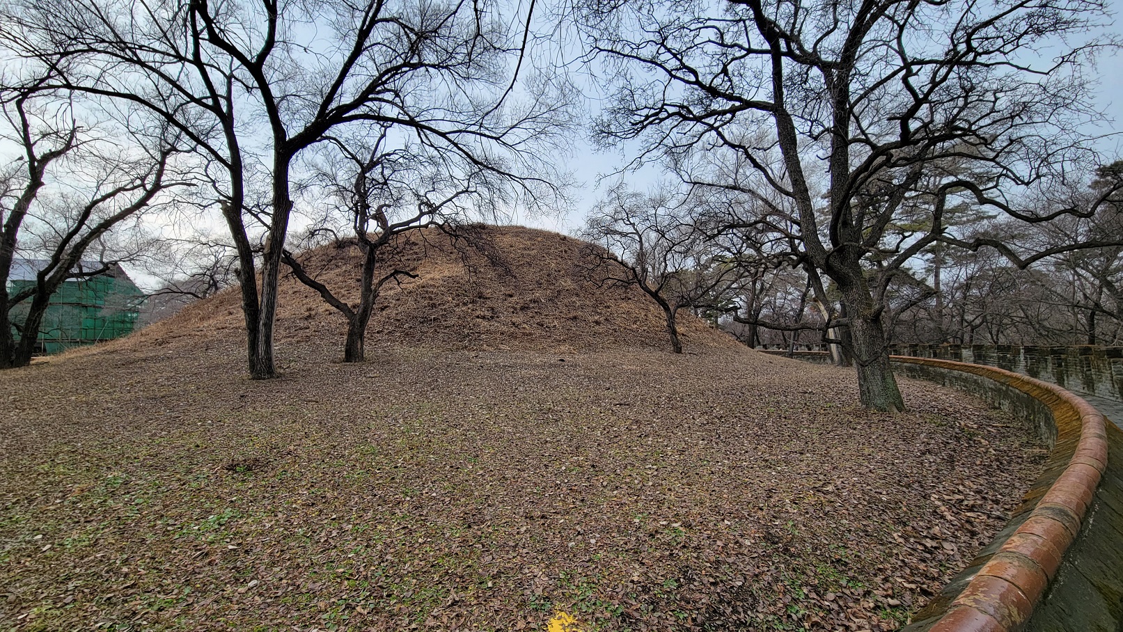 20221119_124430.jpg