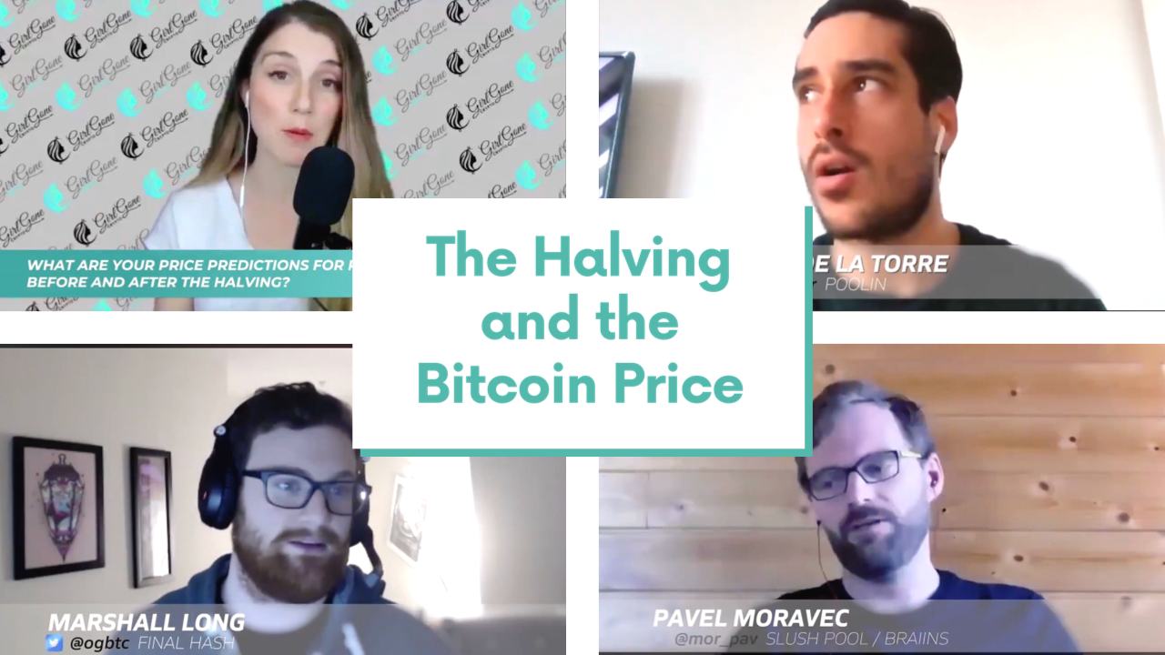 The Halving and the Bitcoin Price.PNG