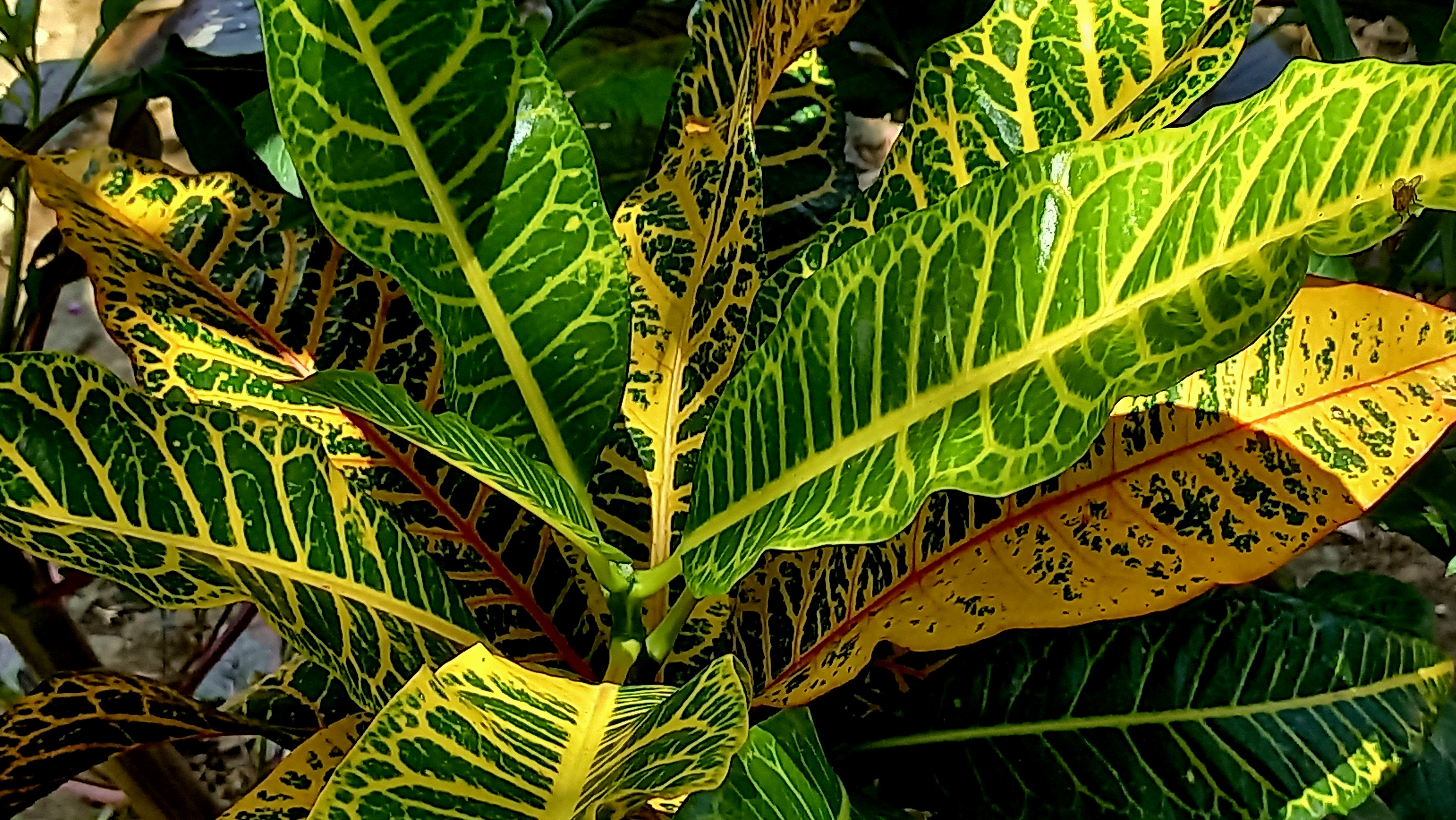 20250817_121959.jpg