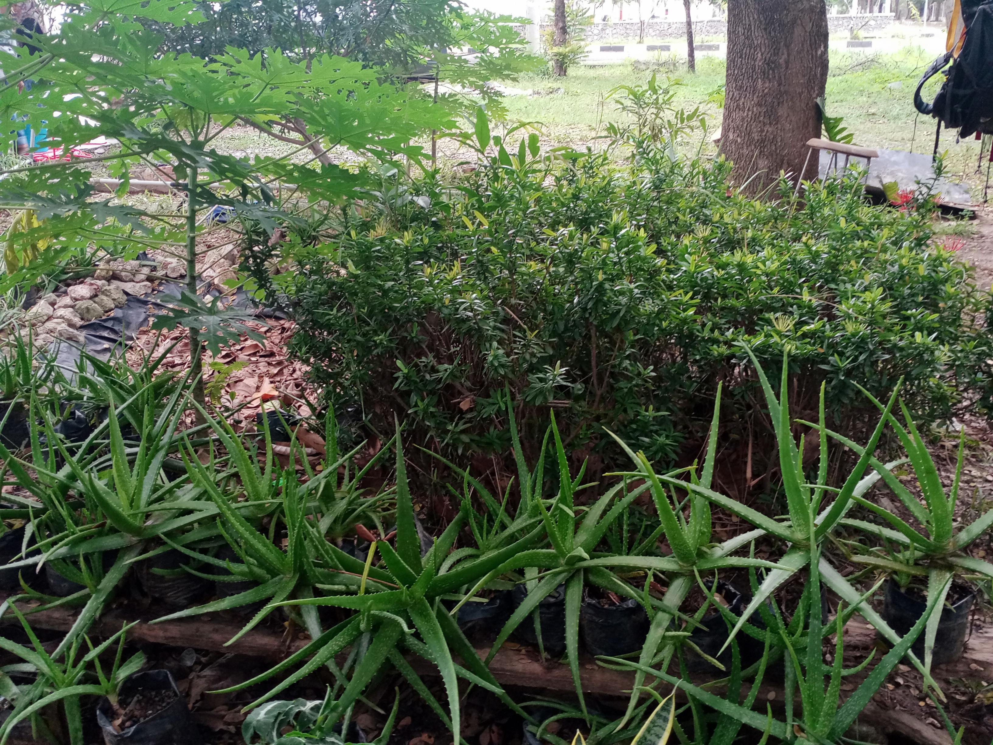 IMG20220108113154.jpg