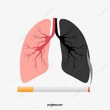 pulmon.jpg