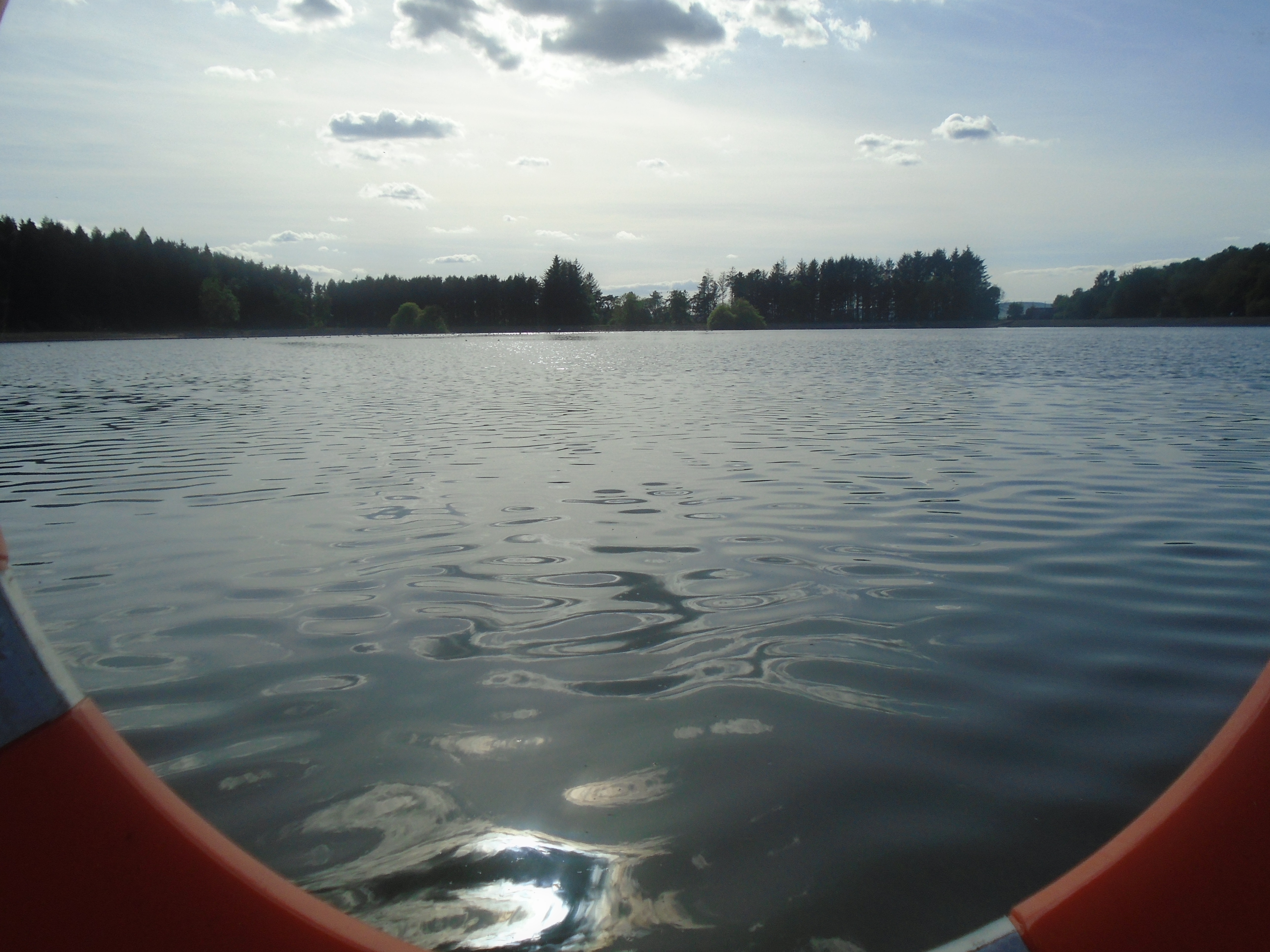 DSC01942.jpg