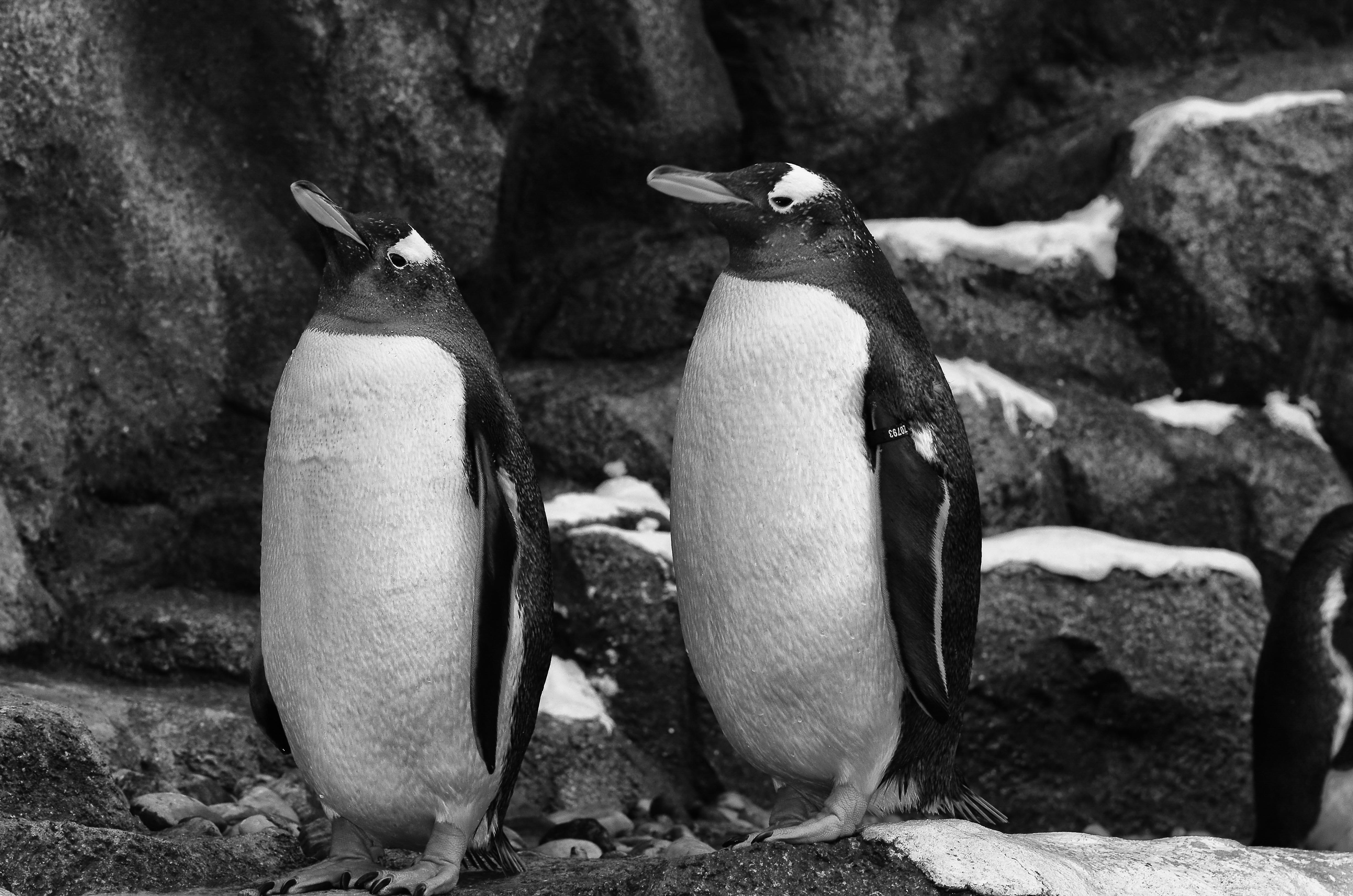 Calgary Zoo May 28 2012-3792-Edit.JPG