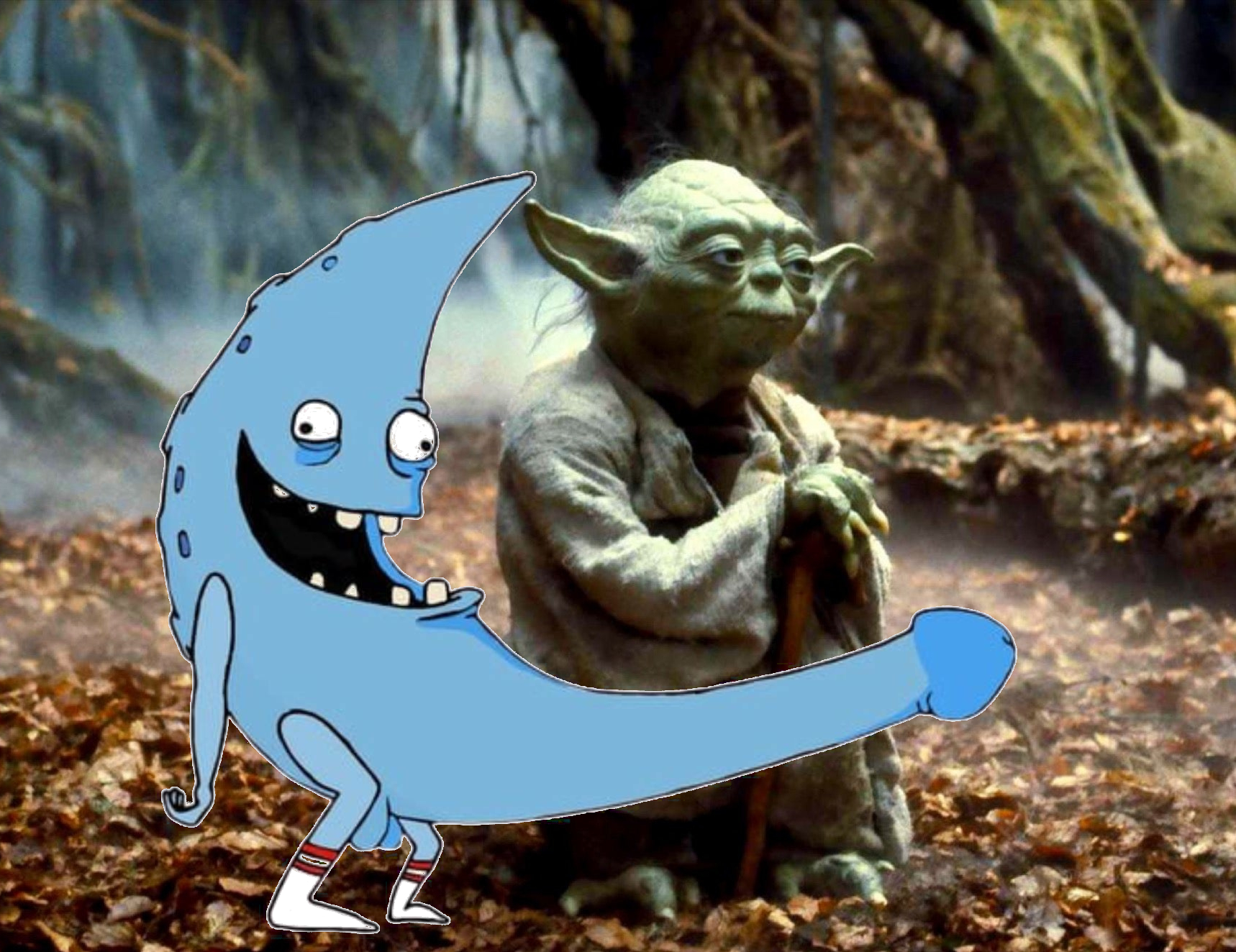 mdyoda1.jpg