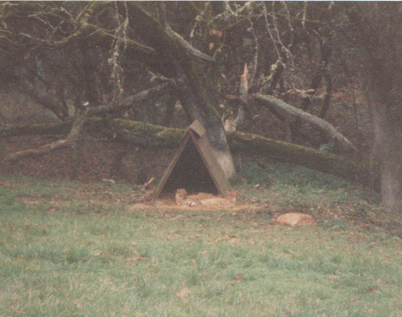 1992-12-26 - Saturday - Wildlife Safari Trip, Marilyn, Crystal-05.png