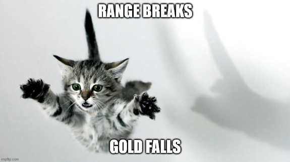 Screenshot_2020-09-23 Falling Cat Meme Generator - Imgflip.png