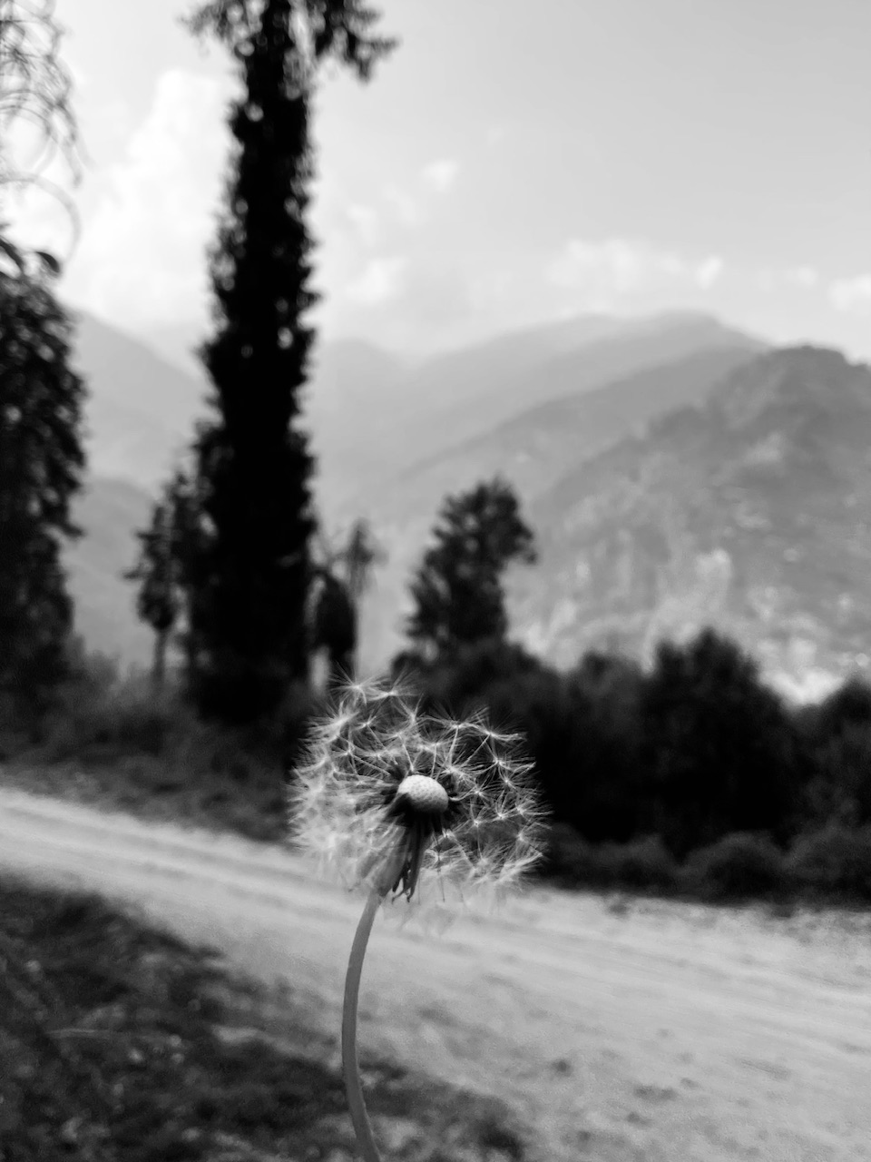 IMG_4173.jpeg