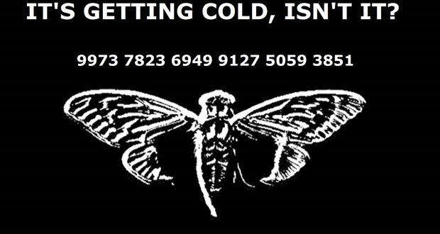 cold cicada.jpg