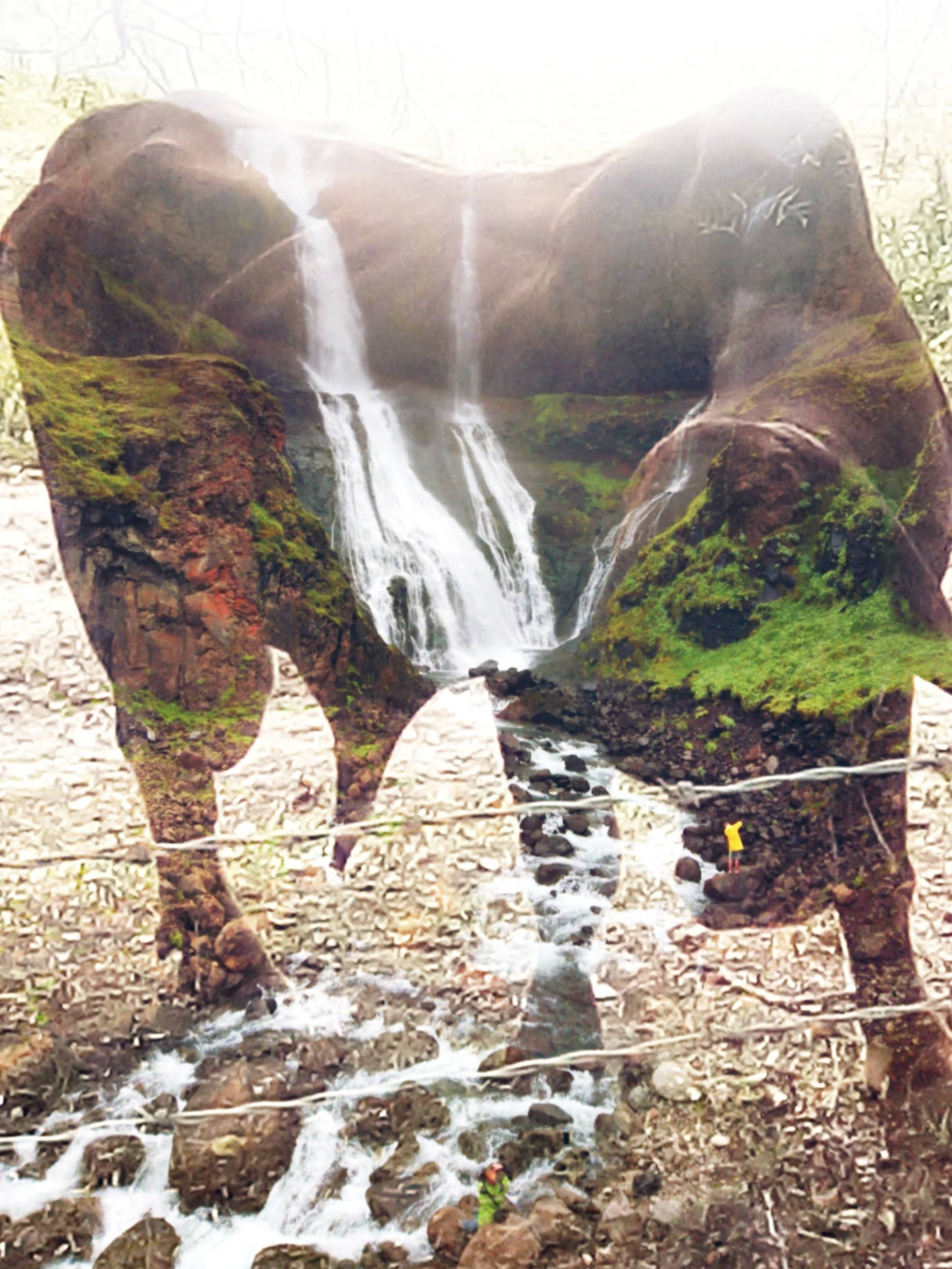 Double-exposure_dxp1 toro.jpg