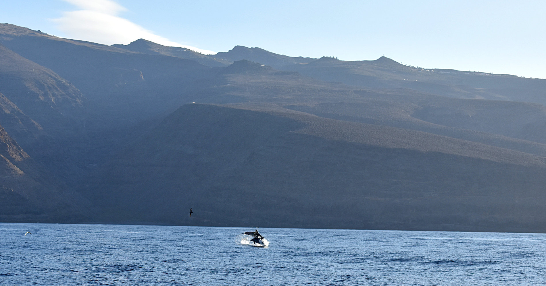 La-Gomera-08.jpg