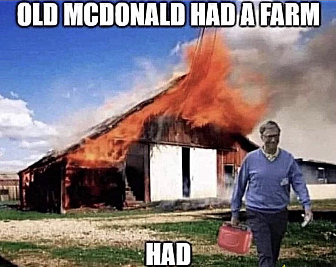 original-1C619B3D-9CBA-4540-B4CF-05B8DC4C7D30.jpeg