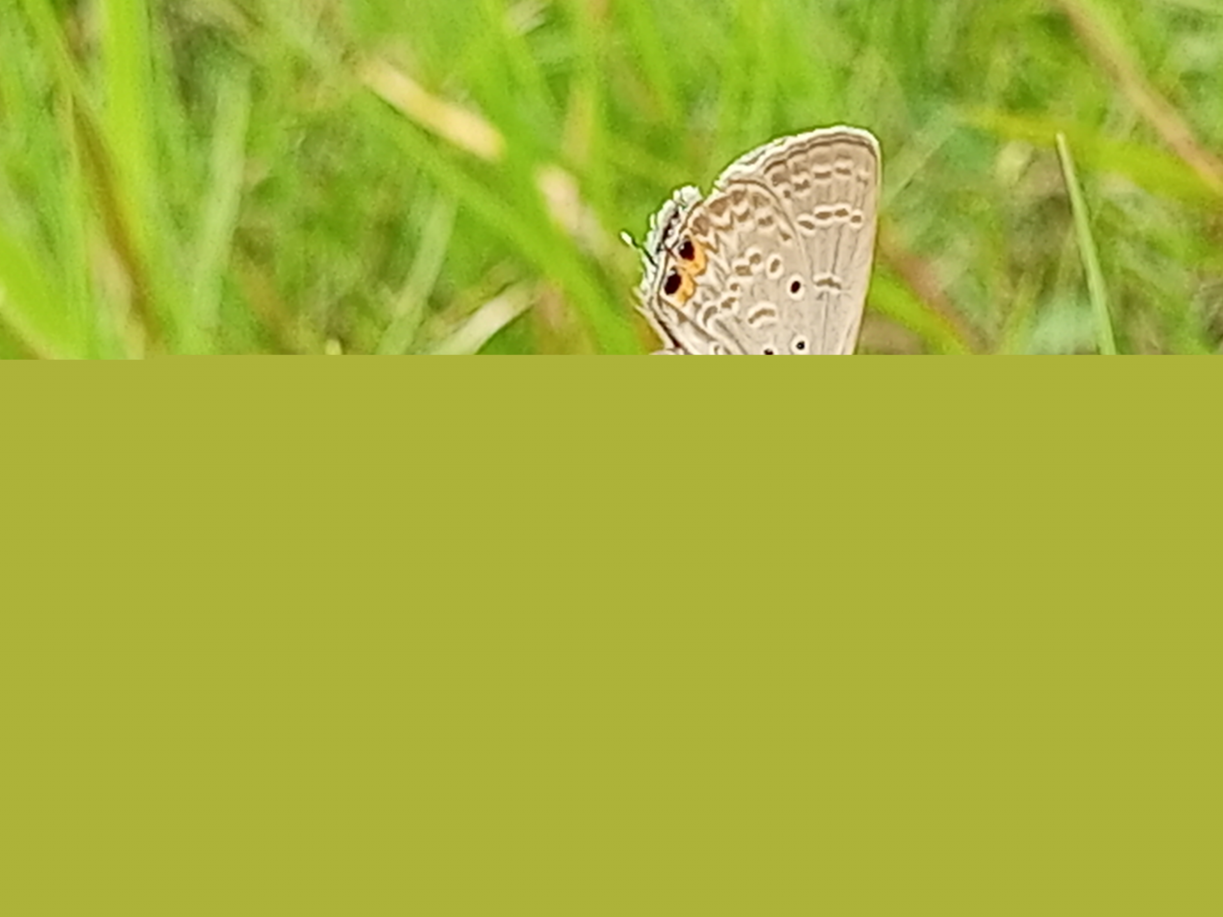 IMG_20250728_131930_028.jpg