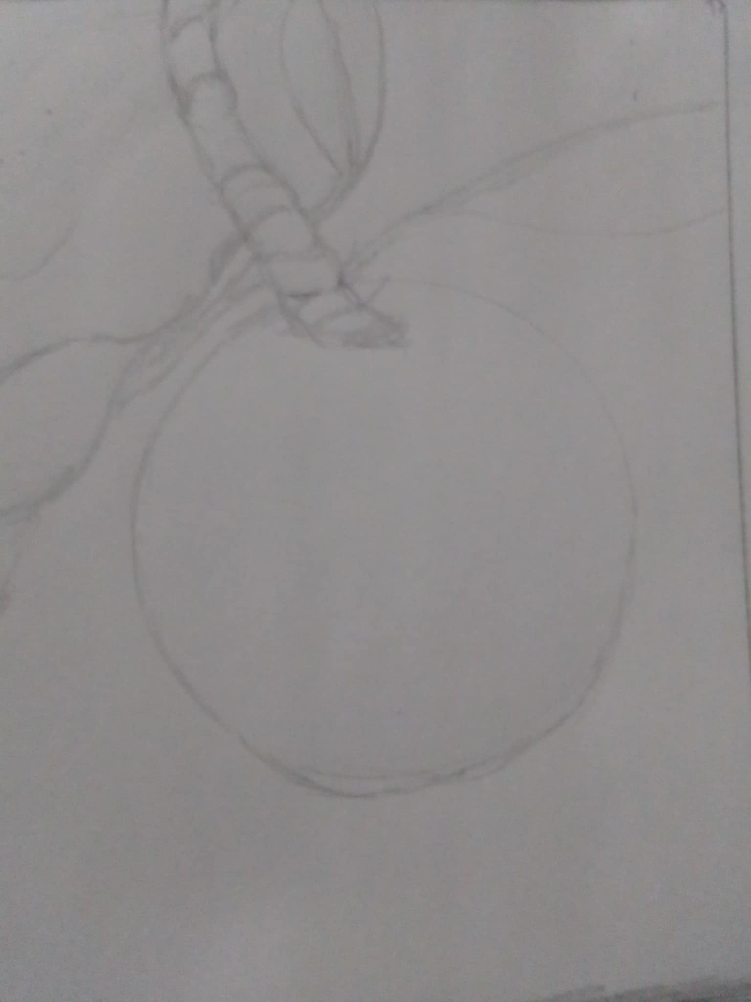 lichi9.jpg