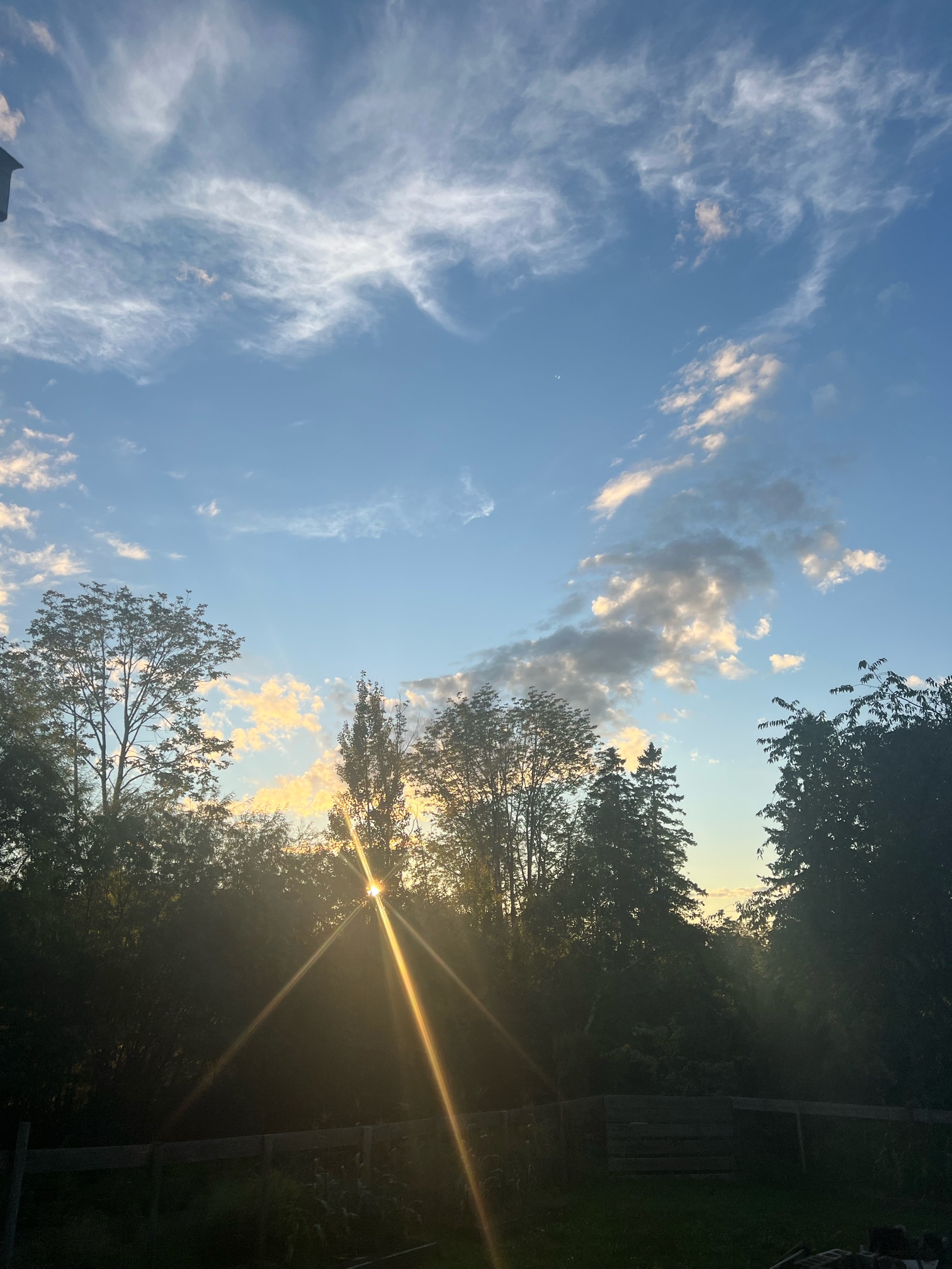 IMG_8823.jpeg