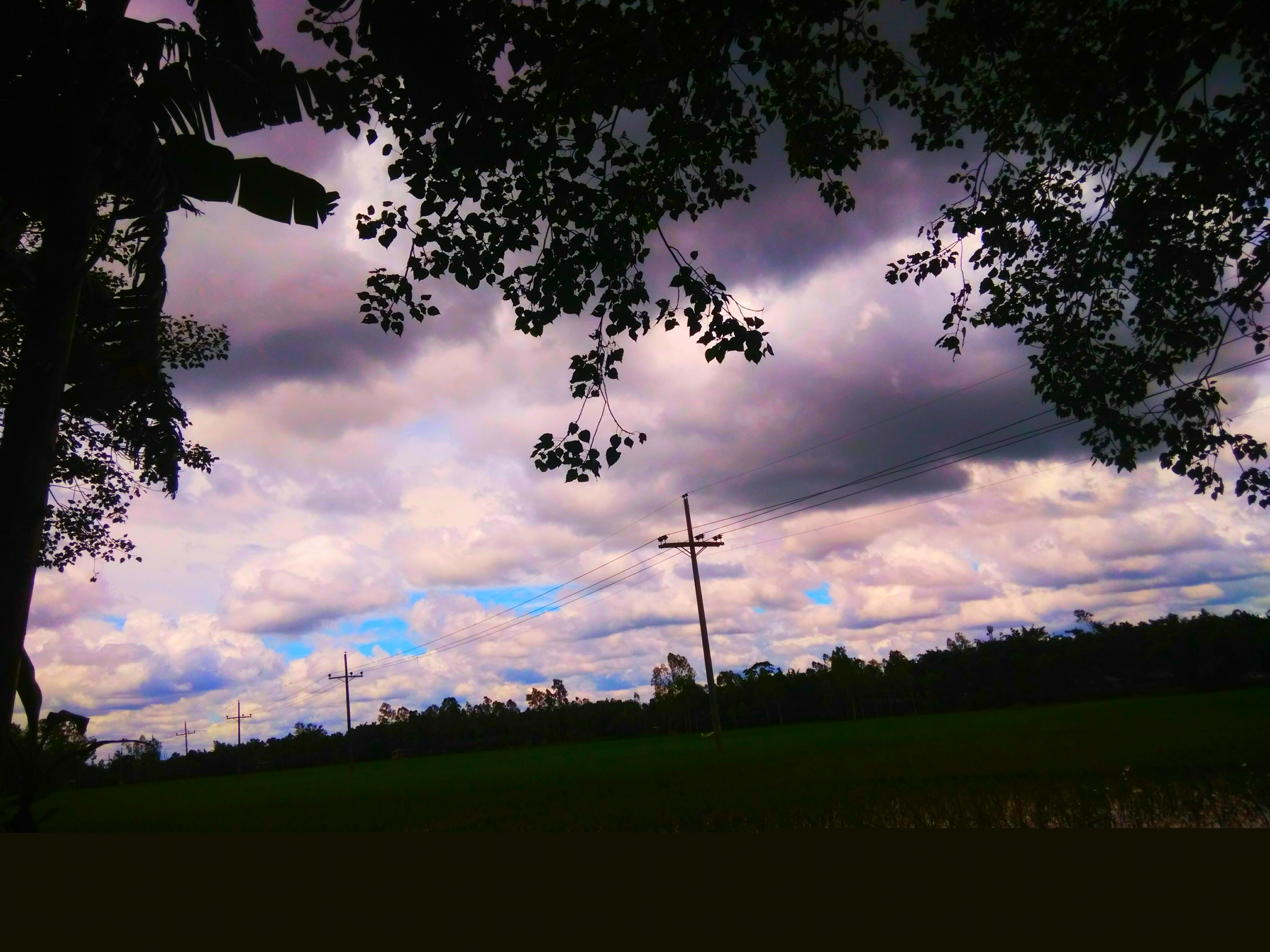 IMG_20200816_212606.jpg
