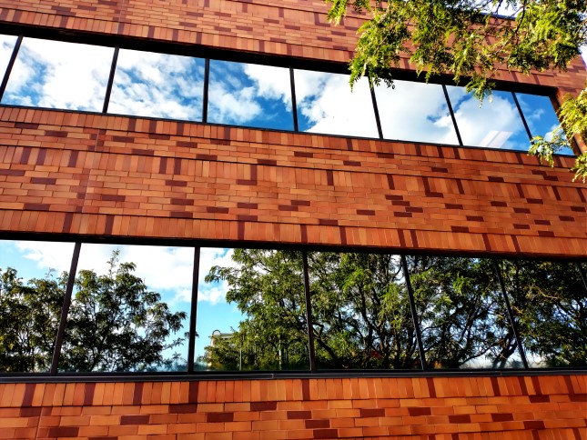 vivid-bricks-trees-clouds-windows @EverNoticeThat3.jpg