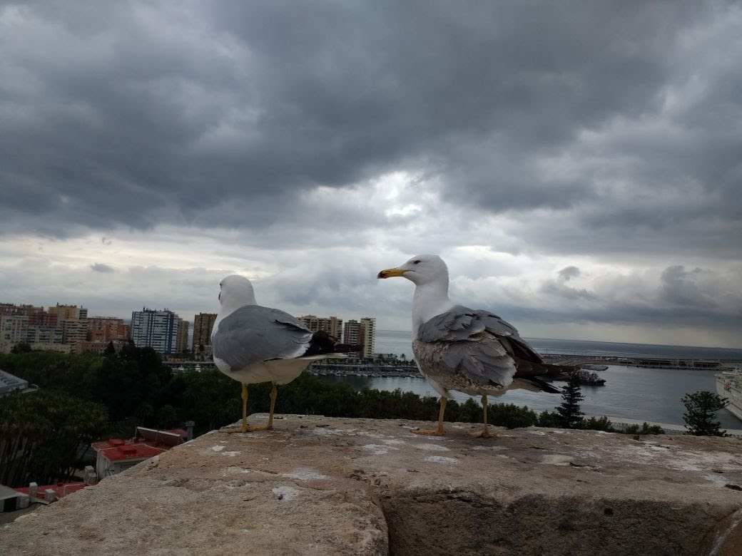 IMG-20180410-WA0024.jpg