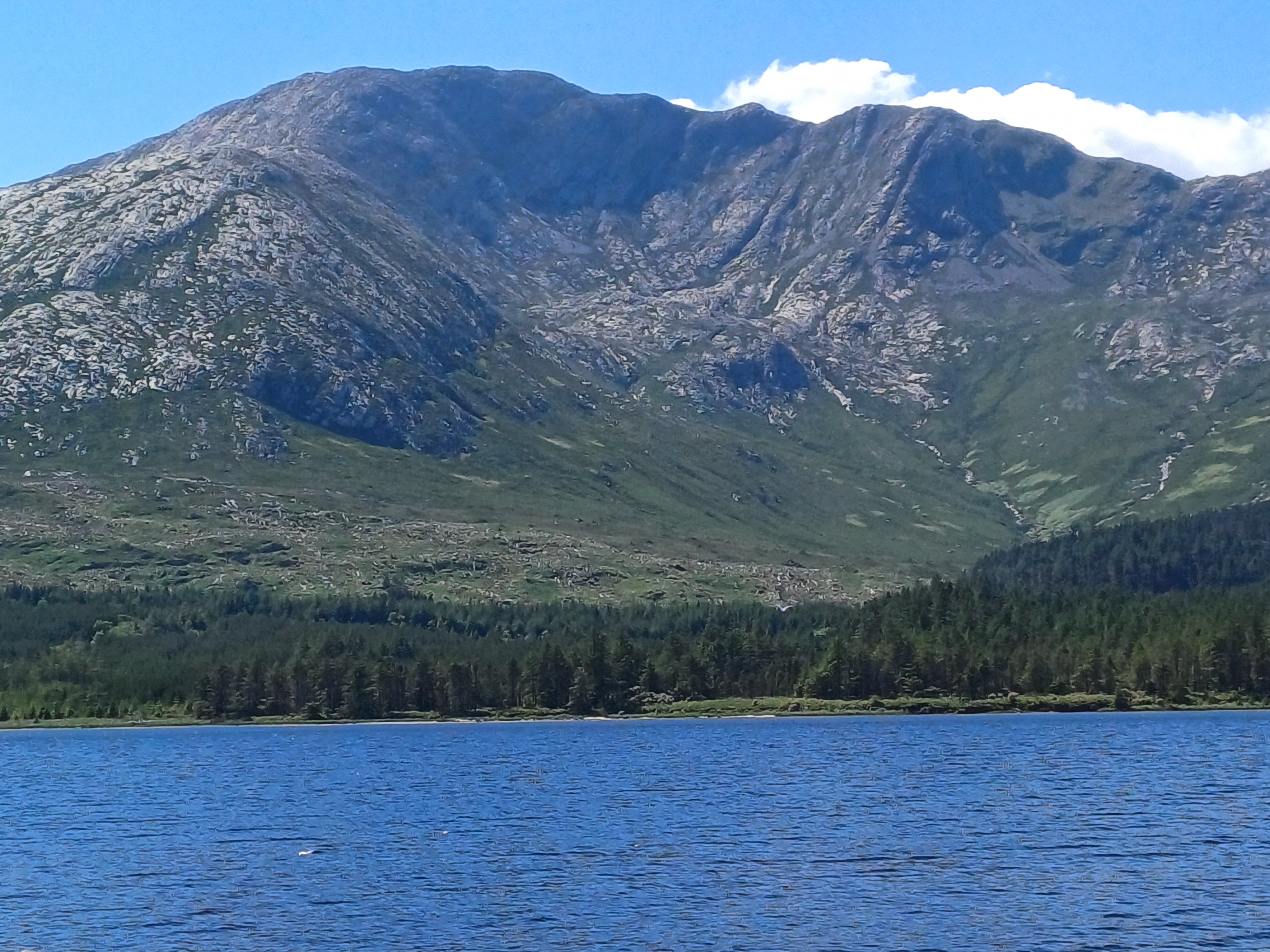 20250518_144203.jpg