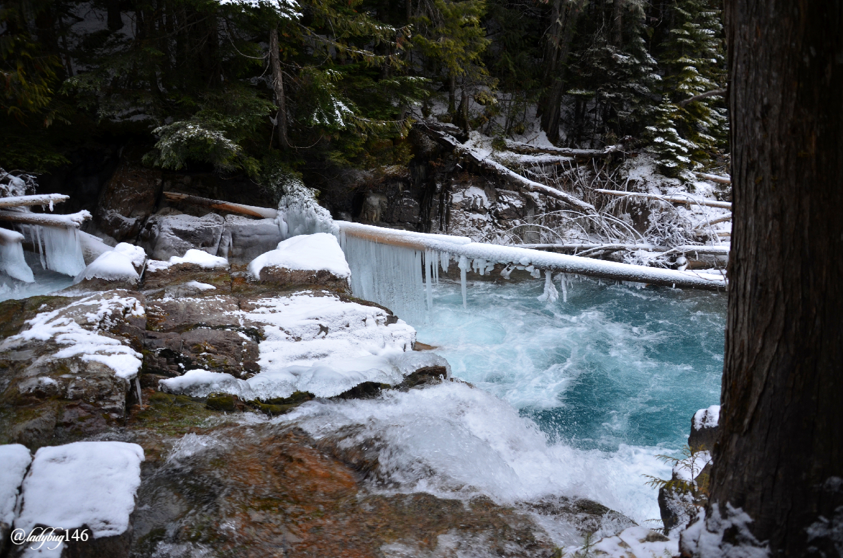 mount robson (22).jpg